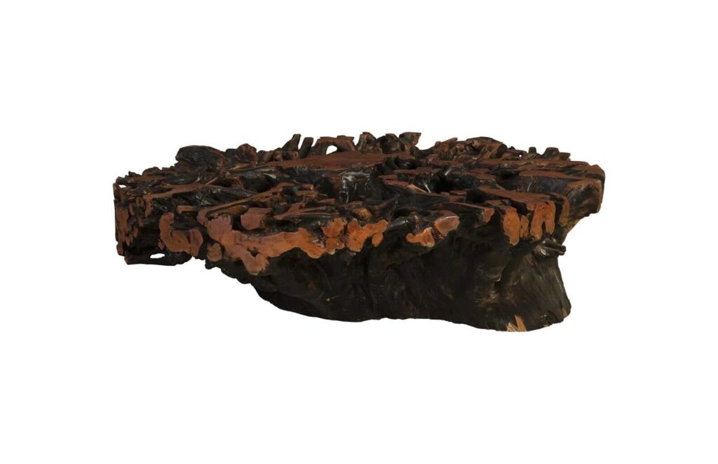 Lychee Wood root coffee table
