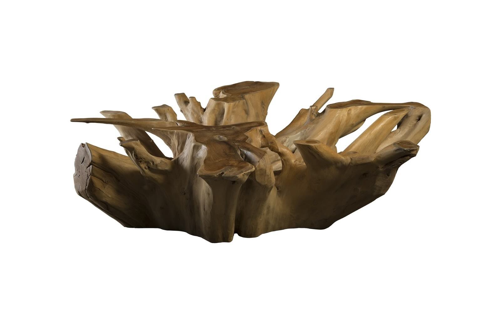 Teak root coffee table